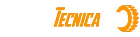 RevisionTecnicaPro
